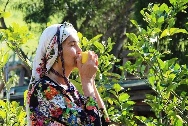 DÜNYAYA AÇILMIŞTI