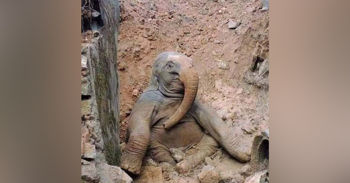 Ekiplere haber verildi