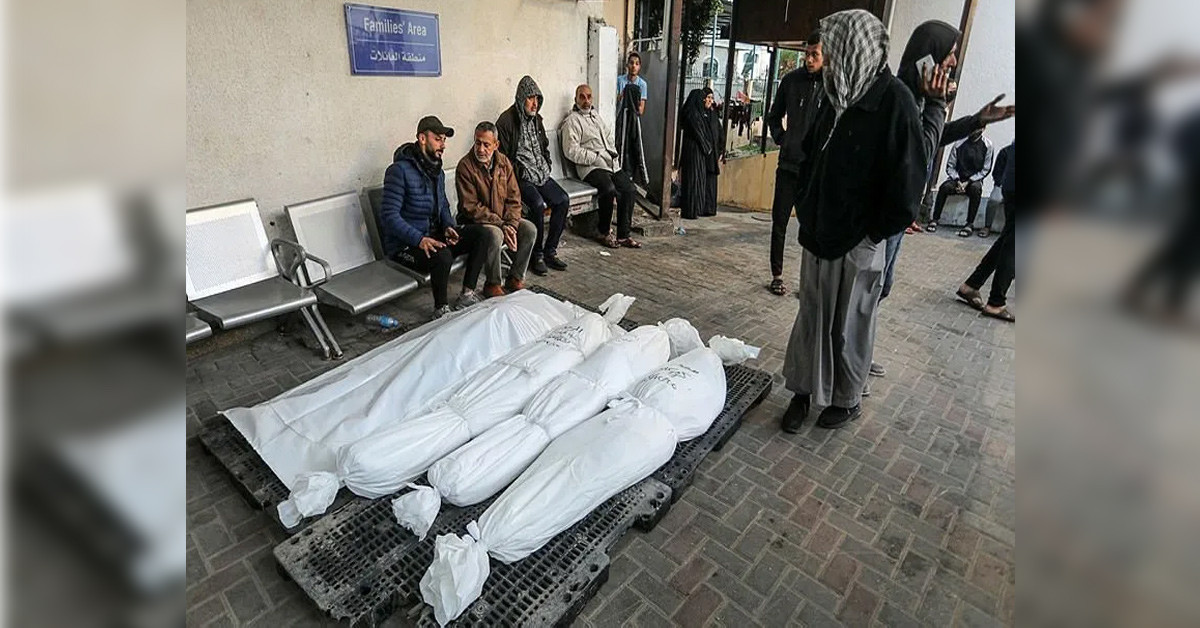 24 saatte 250 kurban