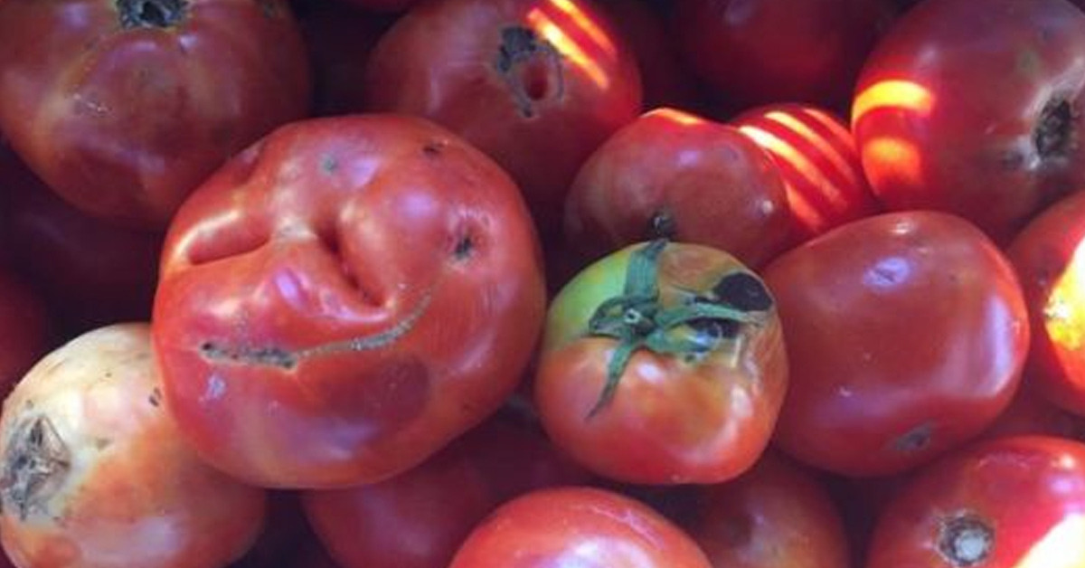 Çiçek gübresi olarak kullanabilirsiniz 