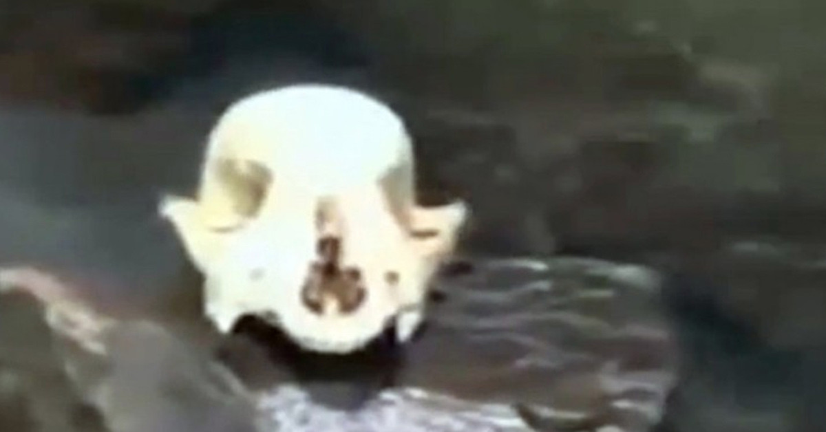 Geri dönüşümün önemi