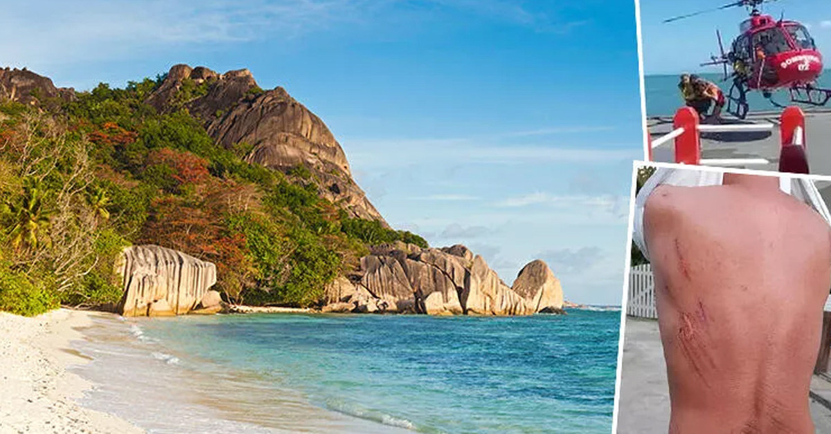 Aç kalmamak için kömür yedi