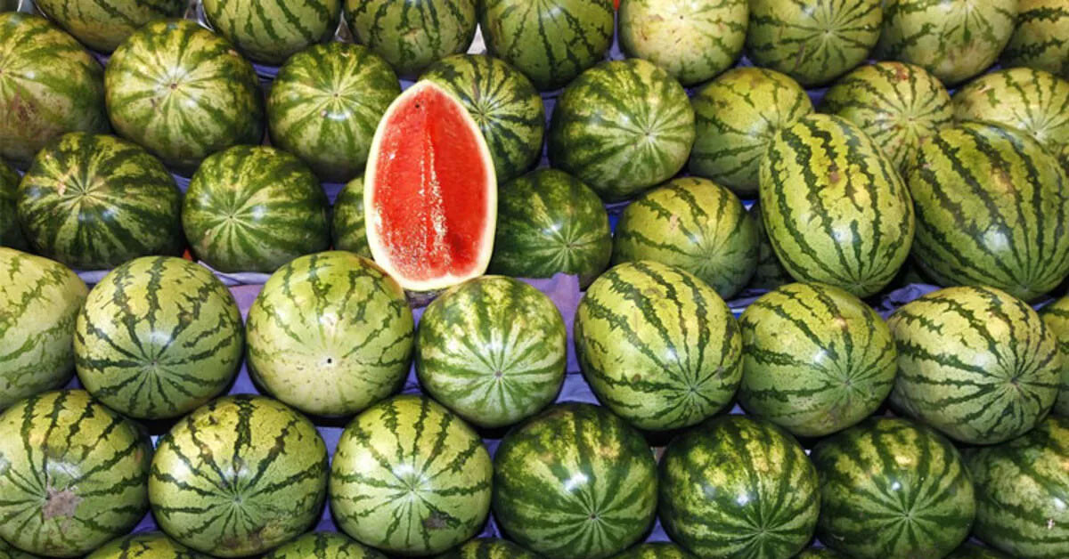 Kesmeden buzdolabına koymayın