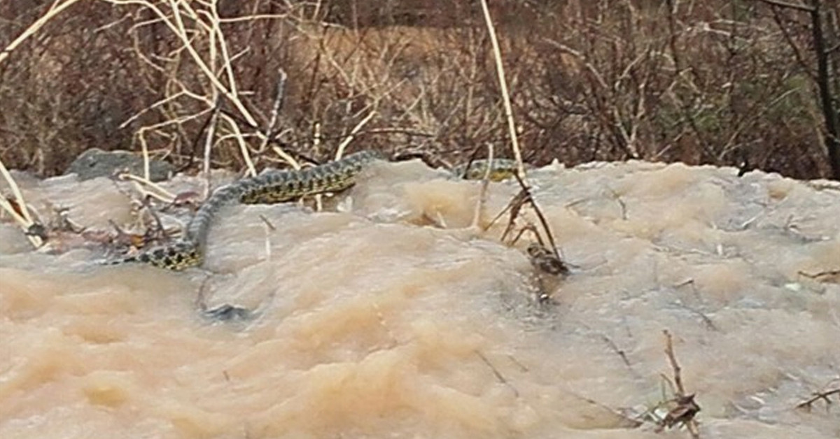 Saruhanlı halkı dikkat etsin