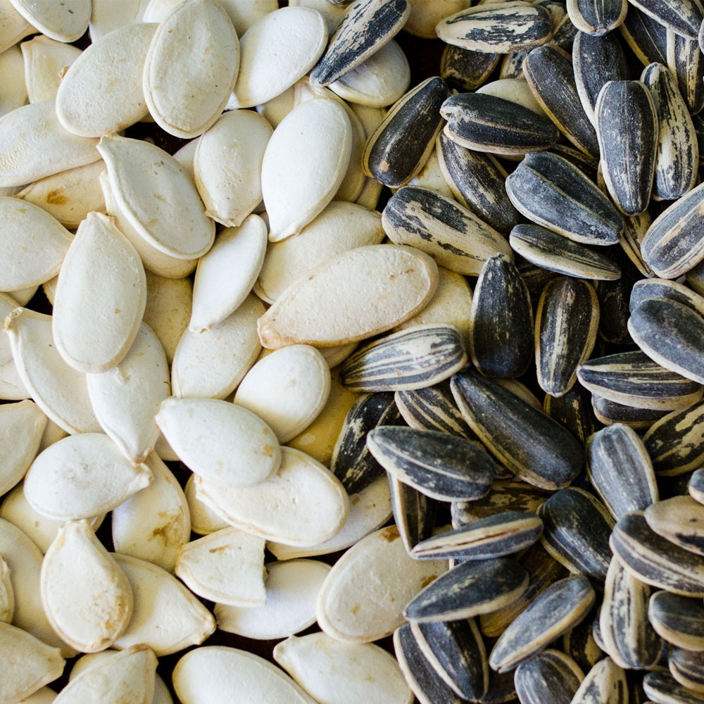 Kabak ve Ayçekirdeği