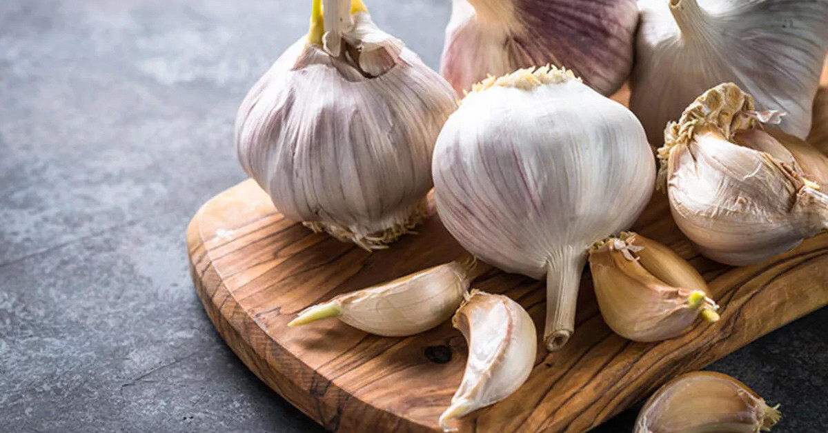 SARIMSAĞIN FAYDALARI TAZE SARIMSAK