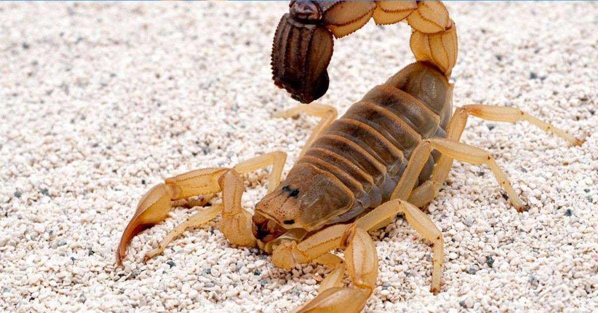 Doğum anı herkesi şaşırttı