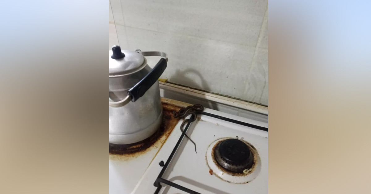 Özellikle geceleri...