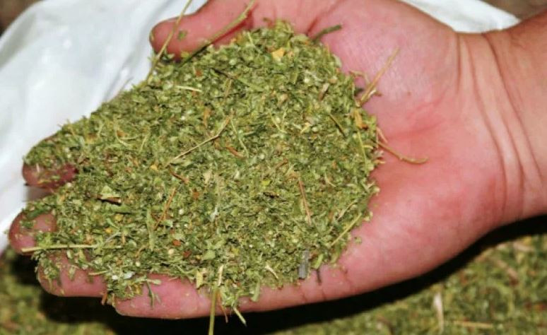 HAMİLE OLDUĞUNU SÖYLEEDİ