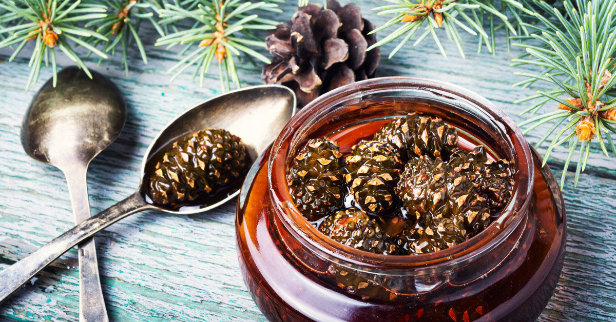 Kış hastalıklarının tedavisi çam pekmezinde saklı