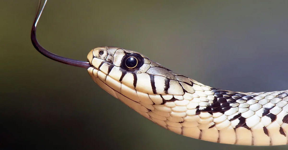 Çevredekileri uyardı