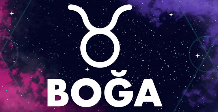Boğa