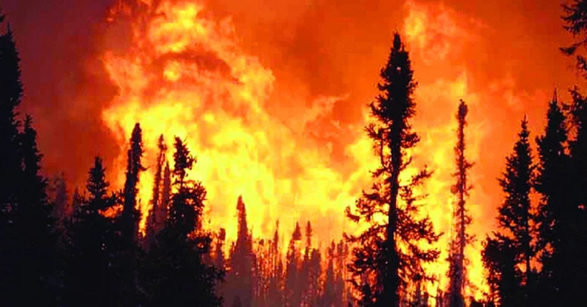 2004 TAYLOR COMPLEX YANGINI