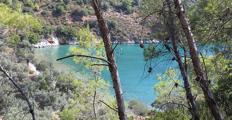 Muğla