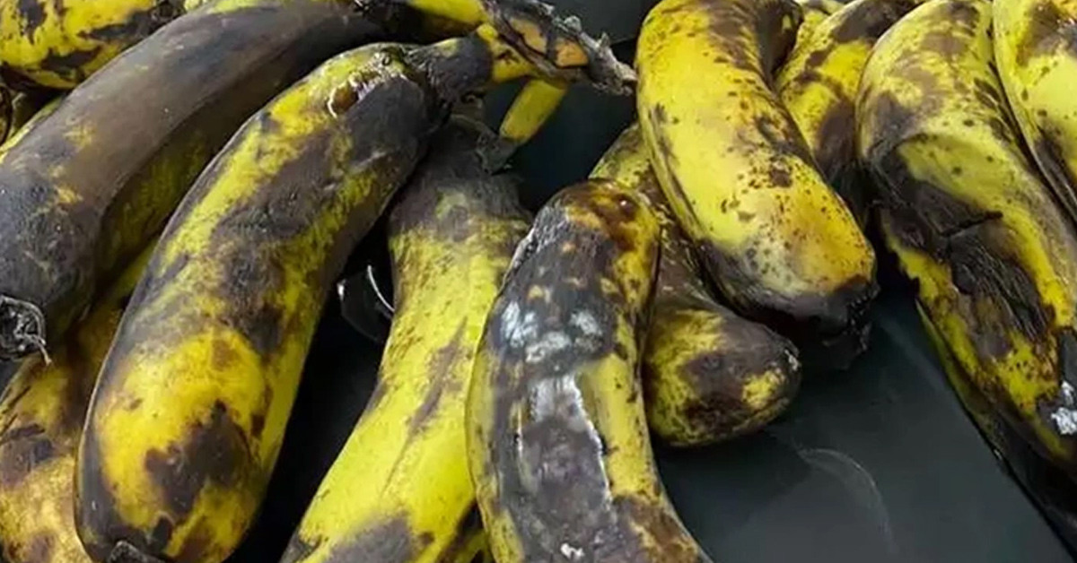 Görenlerin midesi bulandı