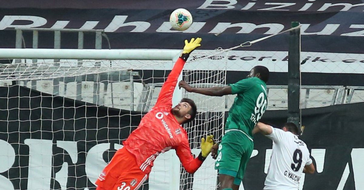 File Bekçisinin Fiziksel Özellikleri Nelerdir?