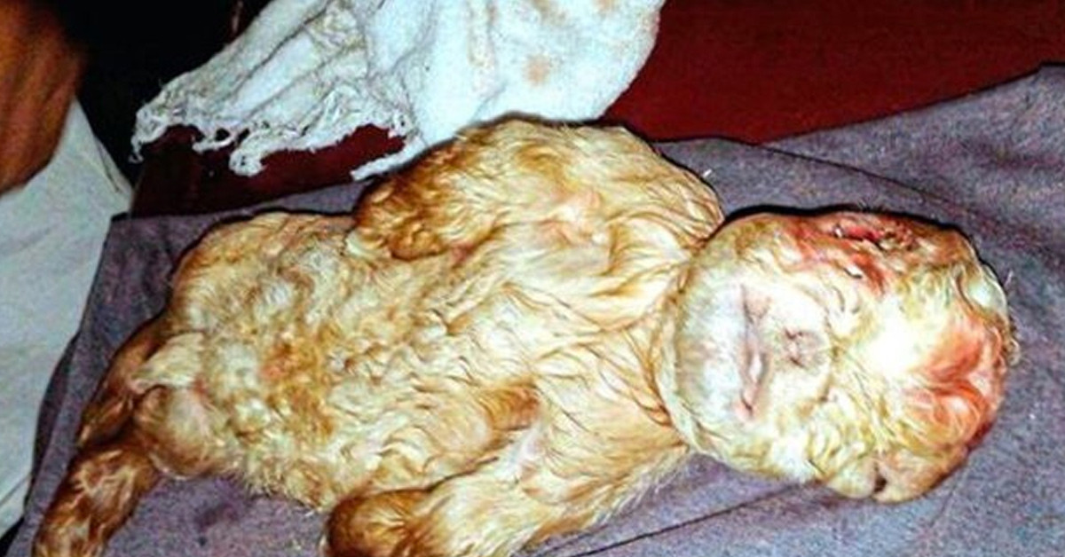 Doğal kaynakları korur