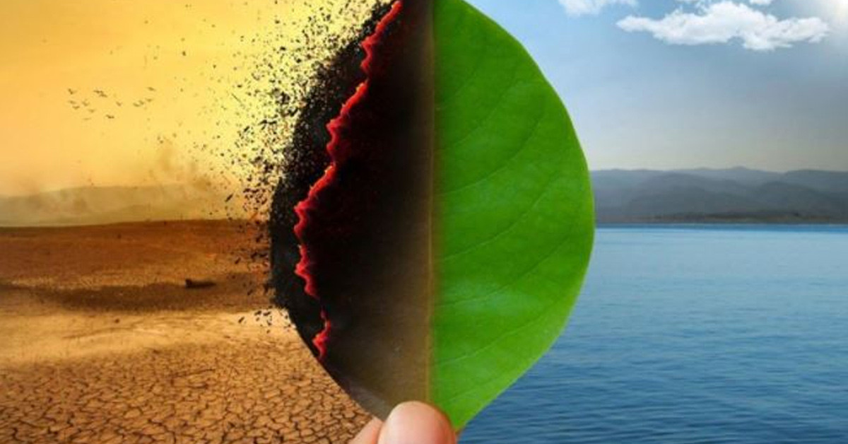 Uzmanlar araştırdı