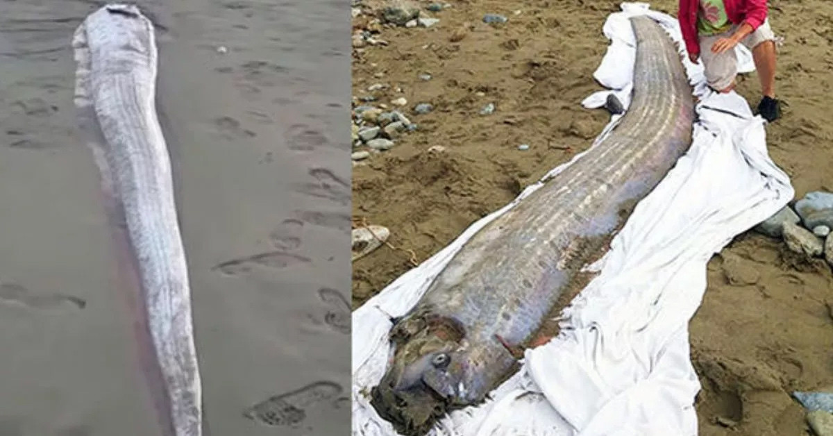 Kehaneti güçlendirdi