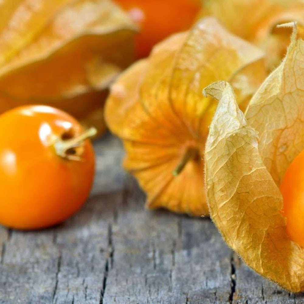 ÇİÇEKTEN MEYVEYE DÖNÜŞÜYOR 