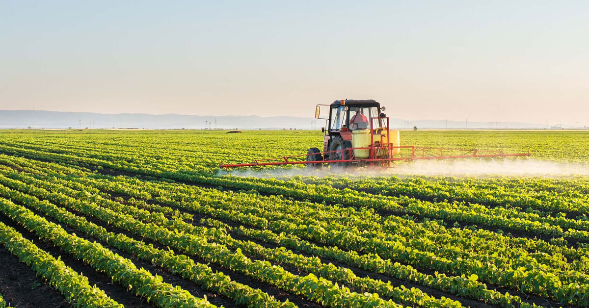 HAVZALARDA YETİŞTİRİLEN ÜRÜNLERE DESTEKLER