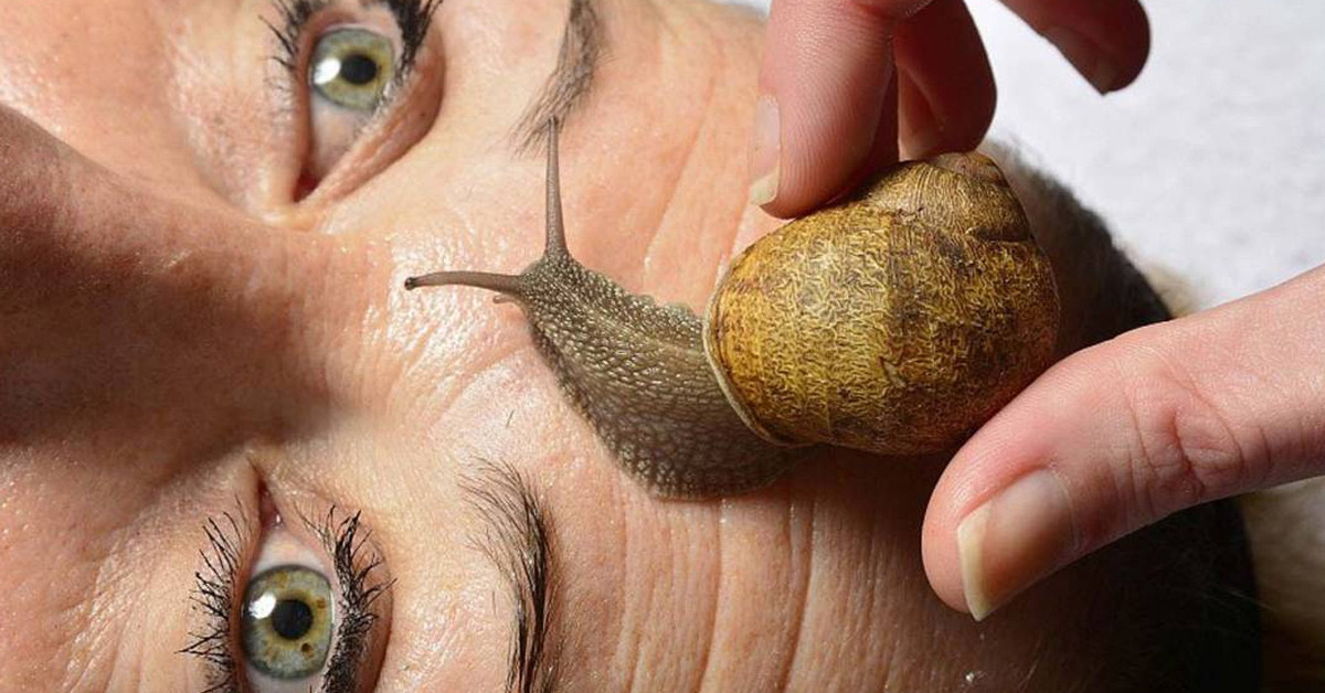 İçten dışa koruma 