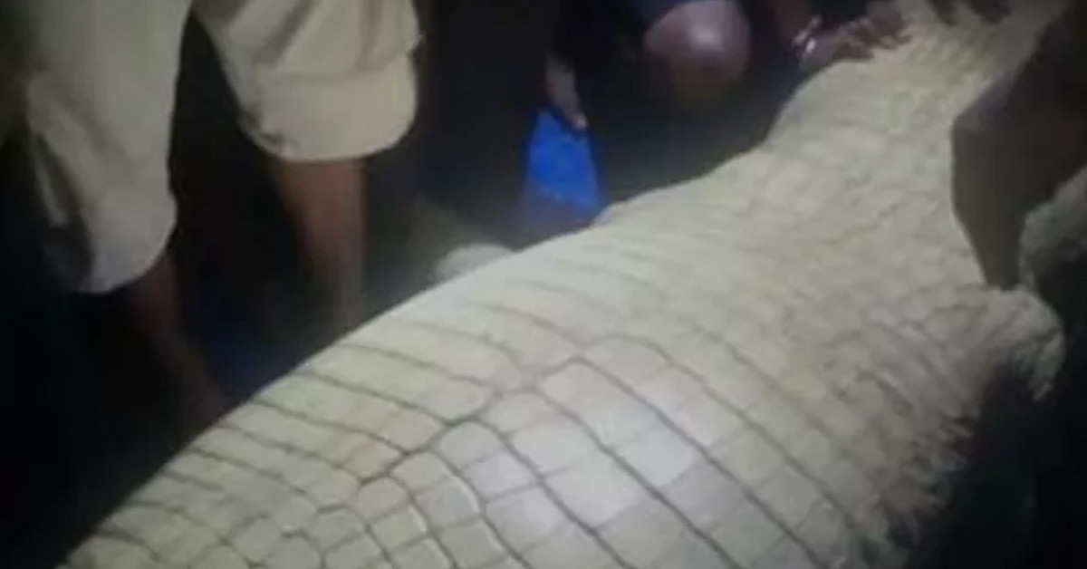 İnşaat işçisi kayboldu