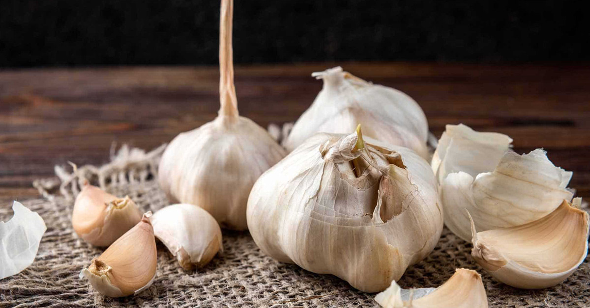 SARIMSAĞIN CİNSELLİĞE FAYDASI