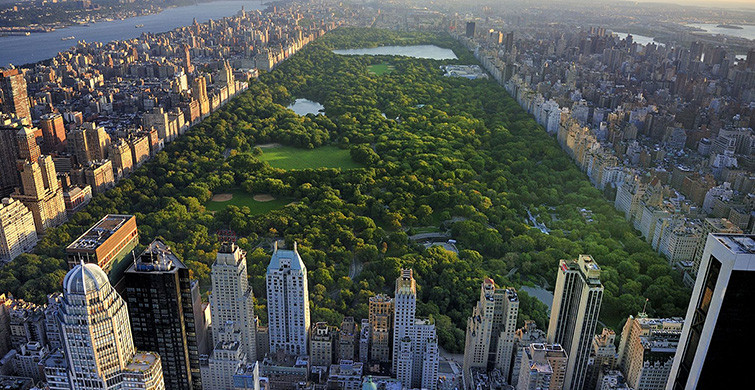 CENTRAL PARK 