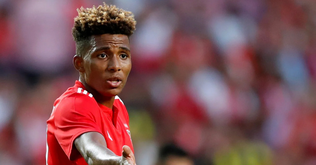 Gedson Fernandes'in Kimdir?