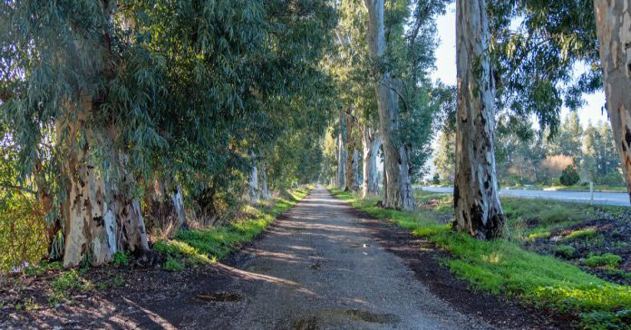 GÖKOVA AŞIKLAR YOLU