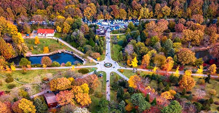 Atatürk Arboretumu