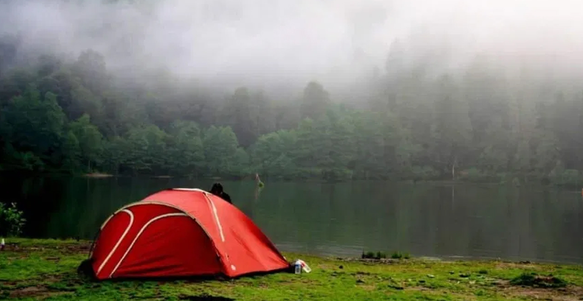 Artvin Kamp Alanları