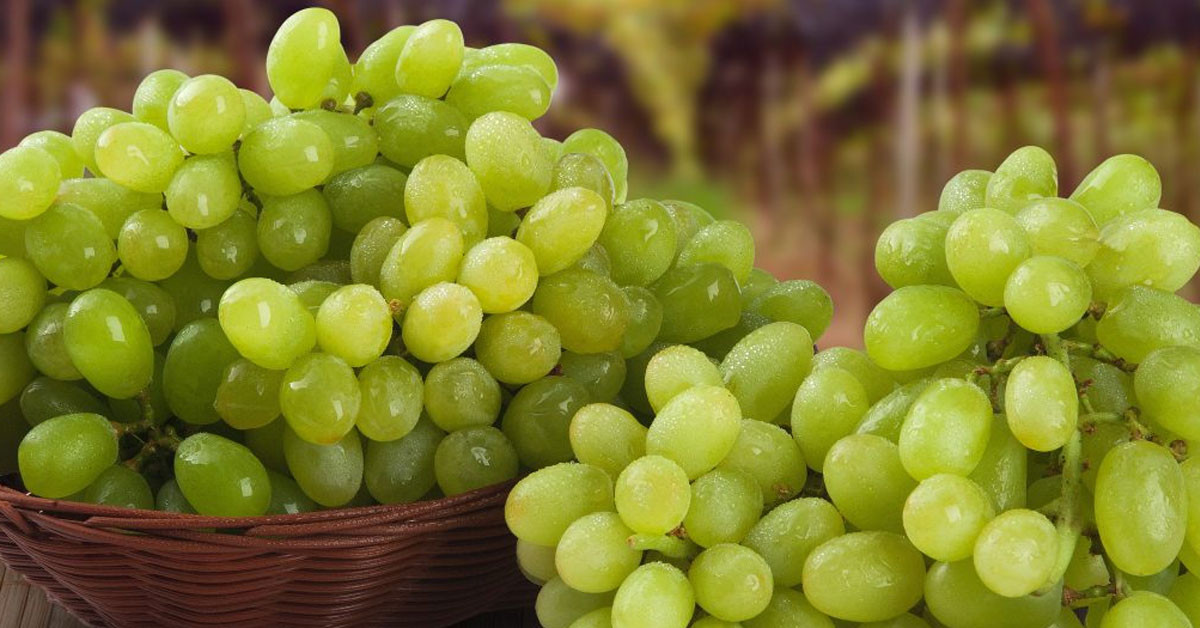 KOLESTEROLÜ DENGELİYOR