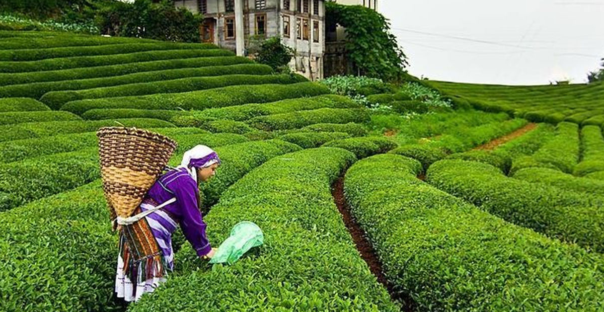 BU SENE YABANCI İŞÇİ YOK 