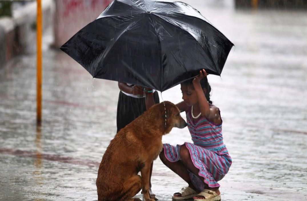 BİR GÜN BOYUCA SADECE İYİLİK YAPIN
