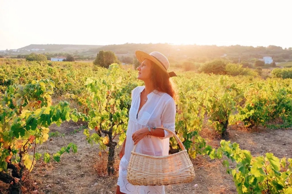 Yengeç Burcu (21 Haziran - 22 Temmuz): Martha’nın Bağı