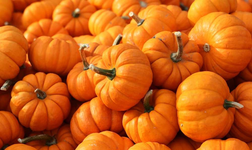 Kabızlığı Önler