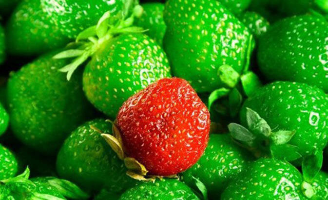 Organik Olmayan Meyveler ve Sebzeler