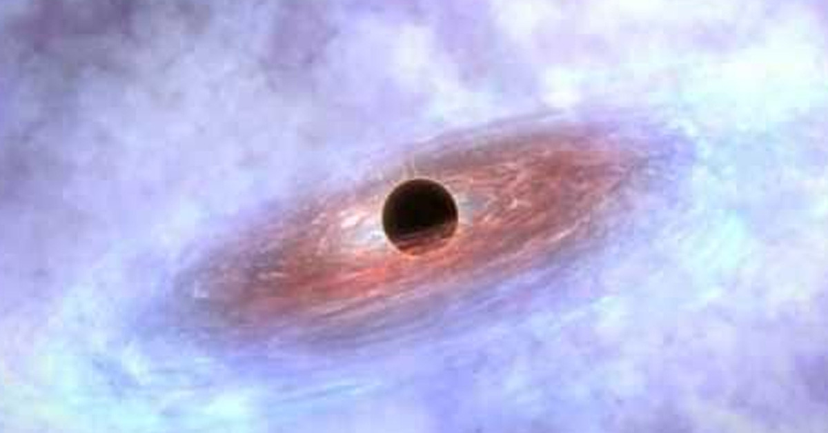 Takipçileri inanamadı