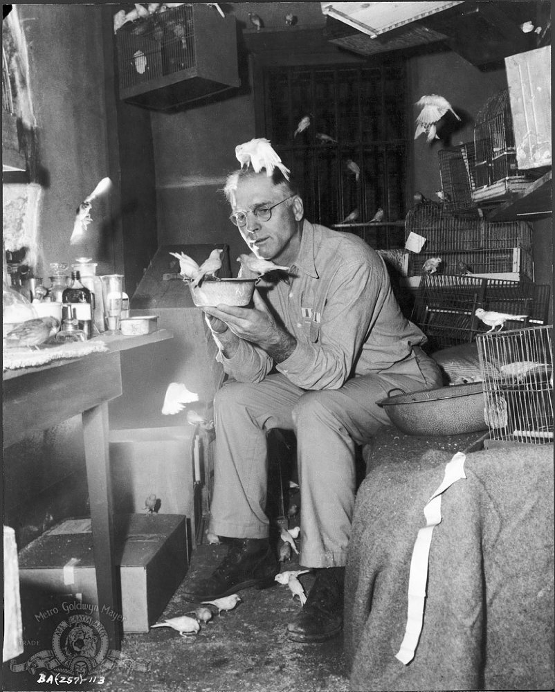 10. Birdman of Alcatraz (Alkatraz Kuşçusu) -1962