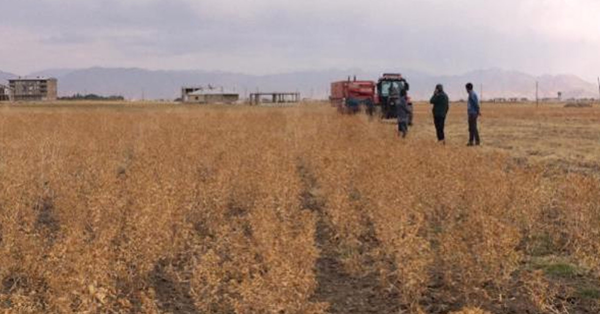 Daha önce böylesi görülmedi