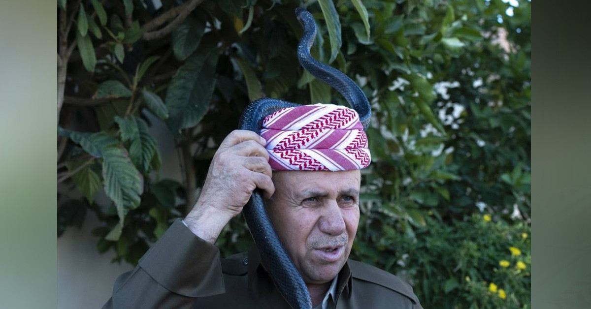 'Amacım yılanları ölümden kurtarmak'