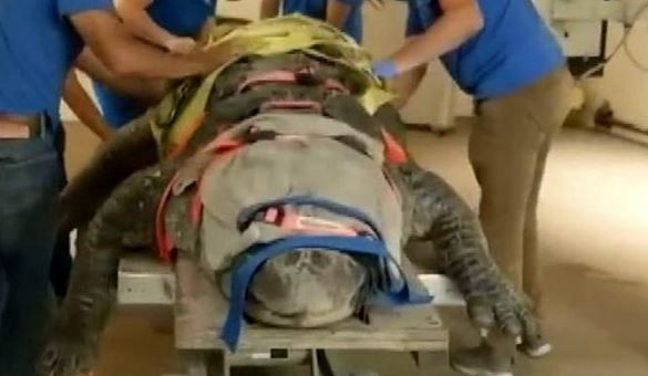 ÇIKARMAK İÇİN ÇOK FAZLA YÖNTEM DENENDİ