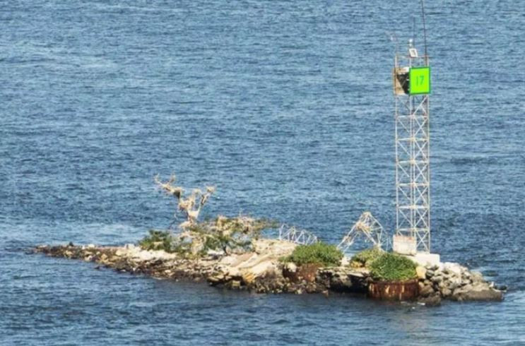 U THANT- AMERİKA BİRLEŞİK DEVLETLERİ