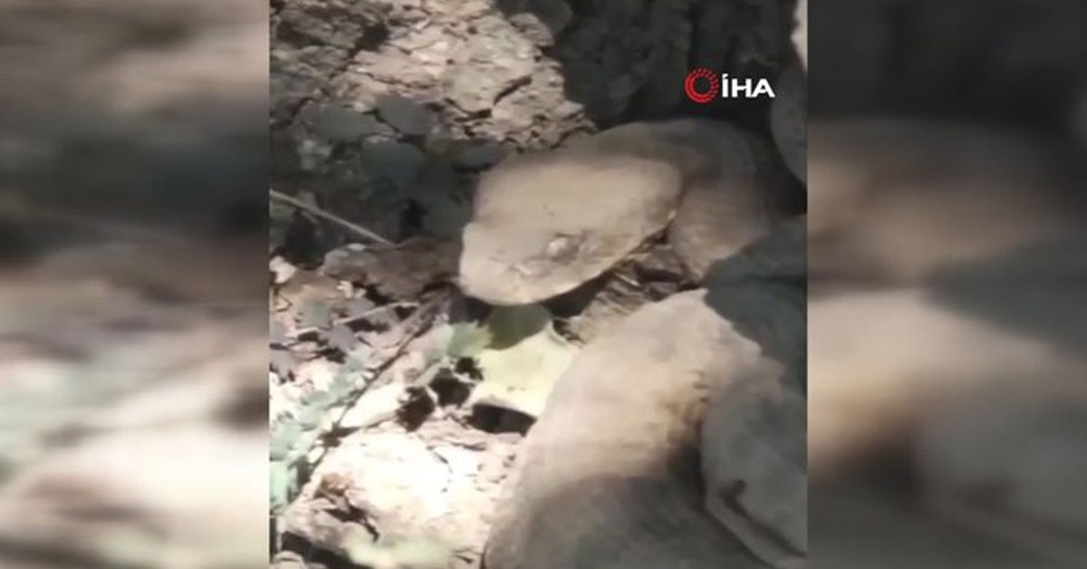 Kayıt altına alındı