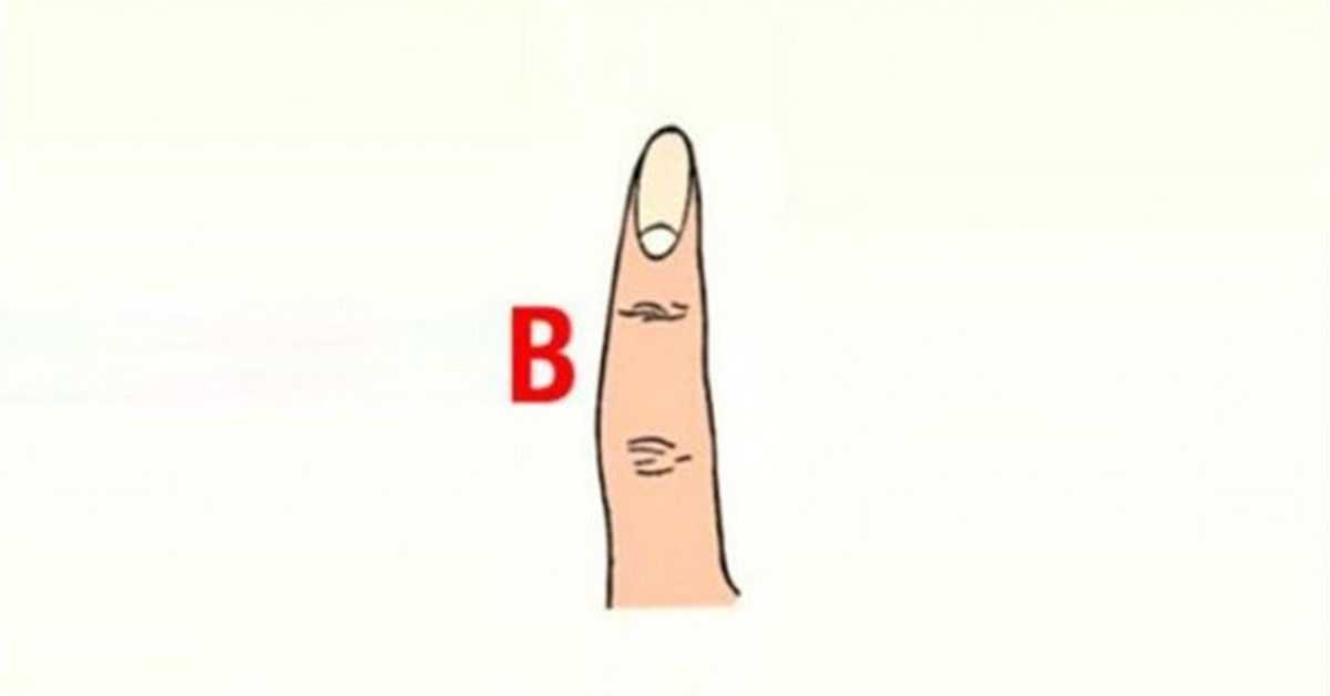 B TİPİ PARMAK ŞEKLİ