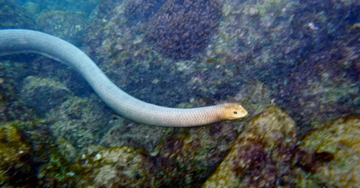 Kameralara yansıdı