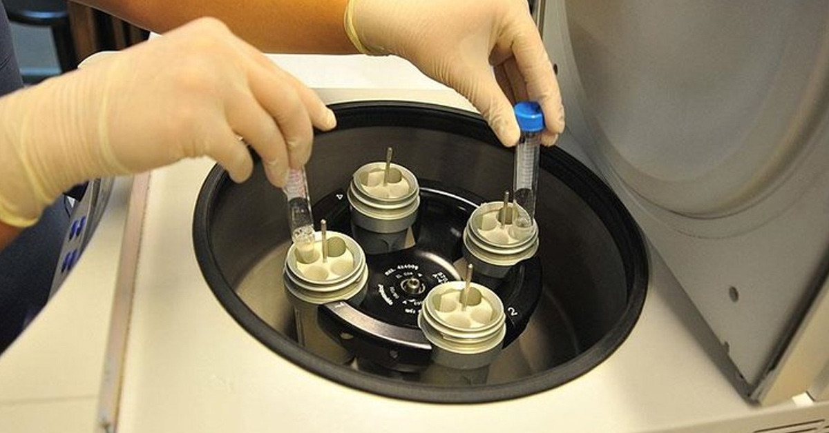 Sahte evraklar düzenleniyor