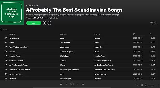 2. #PROBABLY THE BEST SCANDINAVIAN SONGS